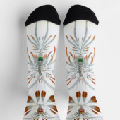 Chaussette Animaux océaniques vintage, Copépodes par Ernst Ha (Haut)