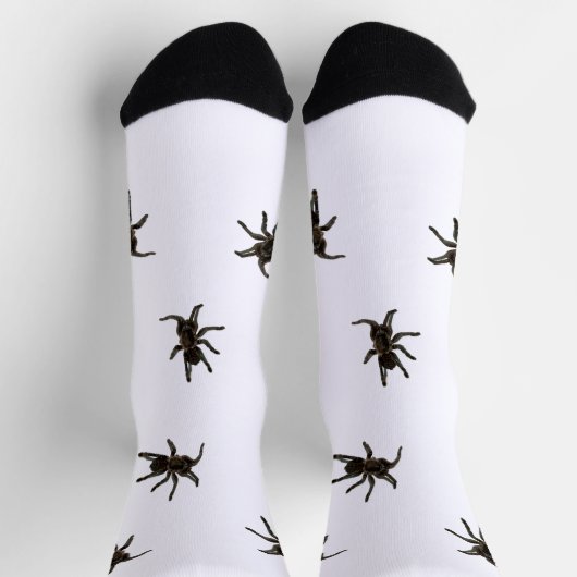 Chaussette Araignées (Haut)