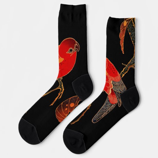 Chaussette Art du perroquet rouge (Gauche)