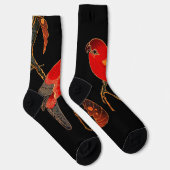 Chaussette Art du perroquet rouge (Droite)