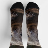 Chaussette Baby Australian Wombat Crew Chaussettes (Haut)