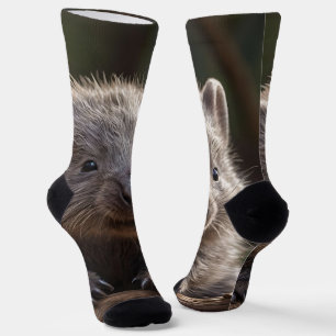 Chaussette Baby Australian Wombat Crew Chaussettes