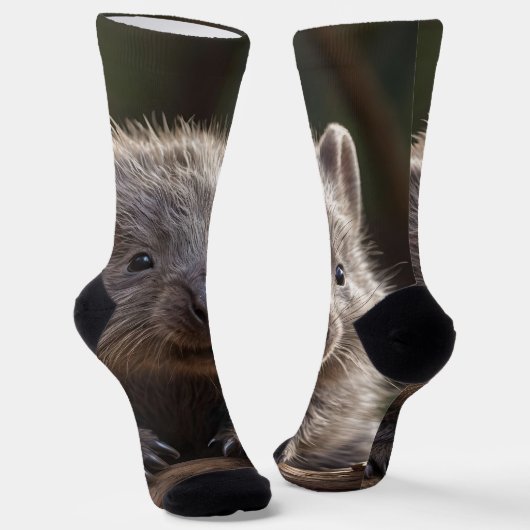 Chaussette Baby Australian Wombat Crew Chaussettes (Angulaire)