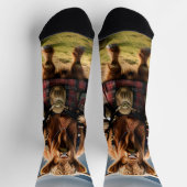 Chaussette Bagpiper de vache écossaise Highland, Chaussettes  (Haut)