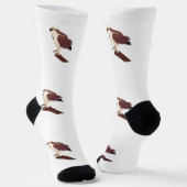 Chaussette Balbuzard Faucon Raptor Thunder_Cove (Angulaire)