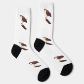 Chaussette Balbuzard Faucon Raptor Thunder_Cove (Droite)