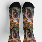 Chaussette Bébé Cochon Dans Le Patch Citrouille, (Haut)