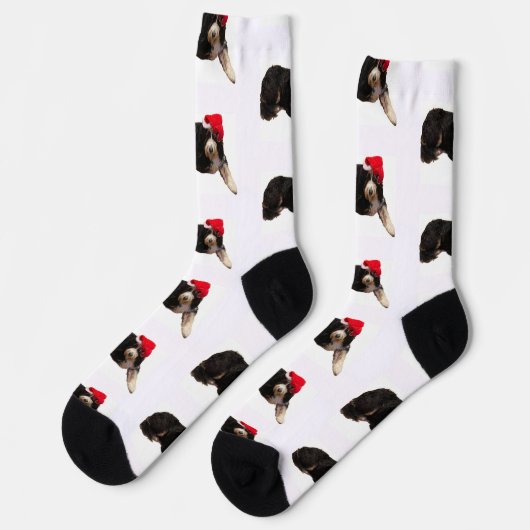 Chaussette Bernedoodle festif et mignon portant un chapeau de (Gauche)