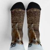 Chaussette Bétail sur la perte : Highland Cows Blé Heist (Haut)