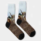 Chaussette Bétail sur la perte : Highland Cows Blé Heist (Droite)