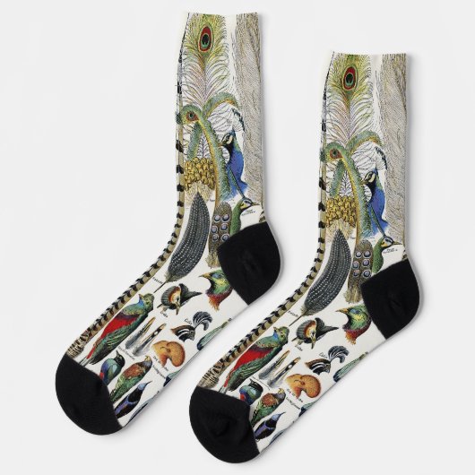 Chaussette Bird Feather Wildlife Antique Feathers Art Nouveau (Gauche)