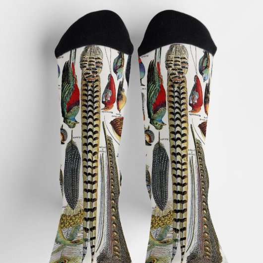 Chaussette Bird Feather Wildlife Antique Feathers Art Nouveau (Haut)