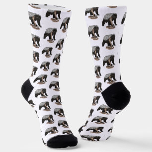 Chaussette Blaireau à miel Cobra Serpent Gredin