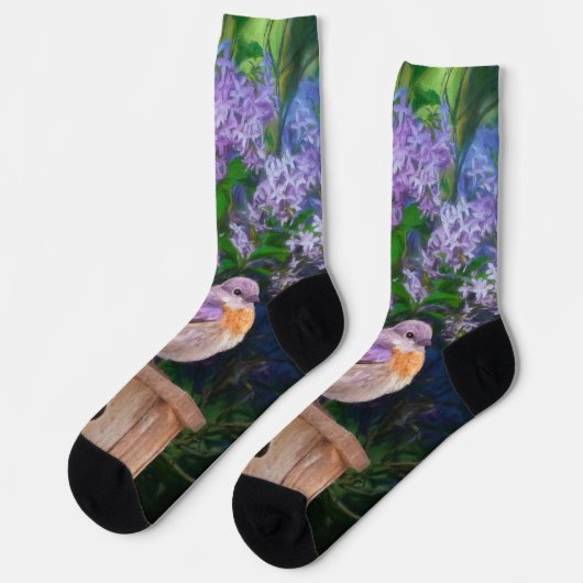 Chaussette Bleuet de l'Est en neige - Photo originale (Gauche)