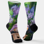 Chaussette Bleuet de l'Est en neige - Photo originale (Angulaire)