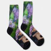 Chaussette Bleuet de l'Est en neige - Photo originale (Droite)