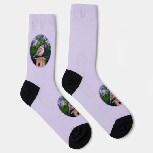 Chaussette Bleuet de l'Est en neige - Photo originale (Droite)