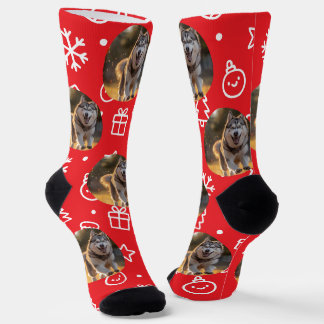 Chaussette Blob de photo personnalisé - Husky d'hiver