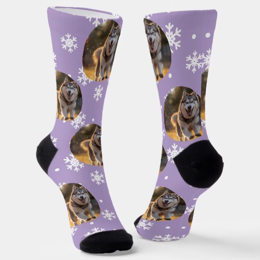Chaussette Blob de photo personnalisé - Husky flocon de neige (Angulaire)