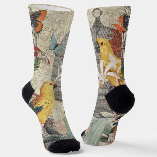 Chaussette Botanique Vintage Oiseaux Nature Tropical Antique (Angulaire)