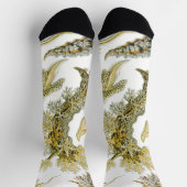 Chaussette Boues de mer par Ernst Haeckel, Nudibranchia Vinta (Haut)