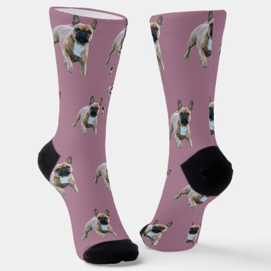 Chaussette Bouledogue français (Angulaire)