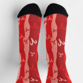 Chaussette Bries Zodiac Stripes (Haut)