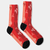 Chaussette Bries Zodiac Stripes (Droite)