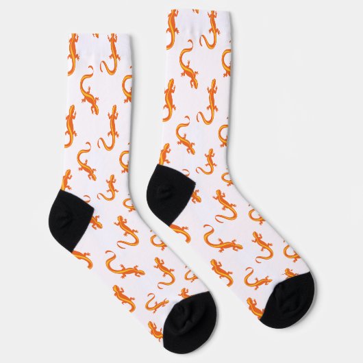 Chaussette Brigade Newt de Chileno Valley (Droite)