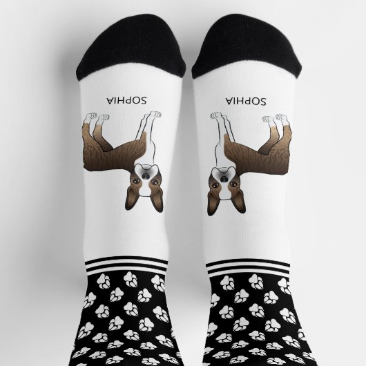 Chaussette Brindle Boston Terrier Avec Le Nom Et Les Pâtes (Haut)