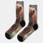 Chaussette Campagne d'herbe d'automne de la vache de haute-te (Gauche)