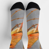 Chaussette Cardinal sur la peinture de branche - Art original (Haut)