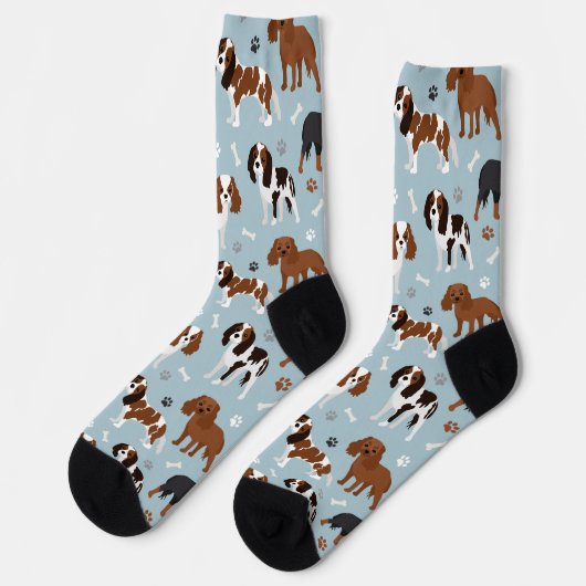 Chaussette Cavalier King Charles Spaniel Paws and Bones Socks (Gauche)