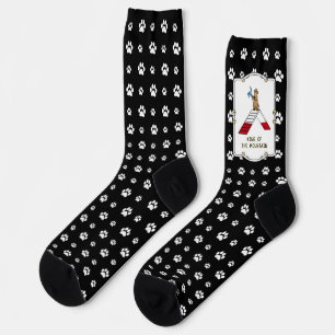 Chaussette Champion roi du chien de montagne agilité drôle