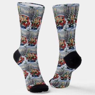 Chaussette Chat angora turc camion rouge Noël vacances