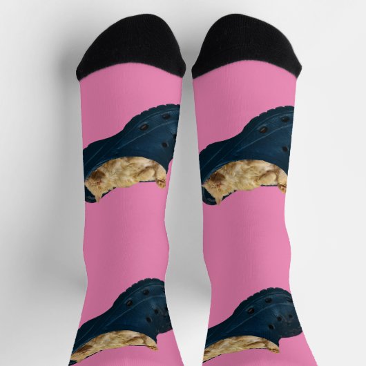 Chaussette Chaton À Dormir En Chaussure Croc, Chaussettes D'É (Haut)