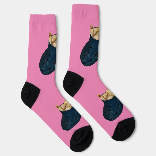 Chaussette Chaton À Dormir En Chaussure Croc, Chaussettes D'É (Droite)