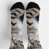 Chaussette Chaton Fluffy Blue Eyed, Chaussettes d'équipage (Haut)
