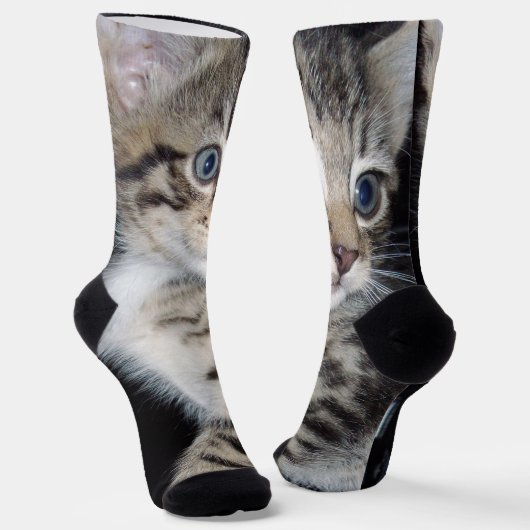 Chaussette Chaton Fluffy Blue Eyed, Chaussettes d'équipage (Angulaire)
