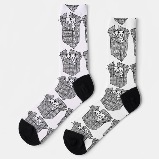 Chaussette Chatons dans une boîte Thunder_Cove (Gauche)
