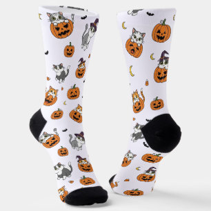 Chaussette Chats mignons et Chaussettes d'Halloween Citrouill