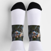 Chaussette Chaussettes  (Haut)