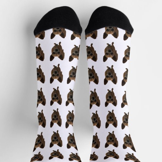Chaussette Chaussettes blanches pour animaux de compagnie mig (Haut)