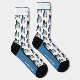 Chaussette Chaussettes Comiques de Geai de Steller