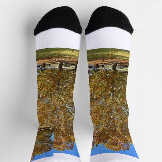 Chaussette Chaussettes d'arbre (Haut)