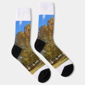 Chaussette Chaussettes d'arbre (Droite)