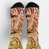 Chaussette Chaussettes de champignon de la queue de Turquie (Haut)