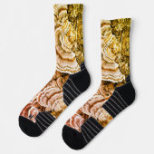 Chaussette Chaussettes de champignon de la queue de Turquie (Gauche)