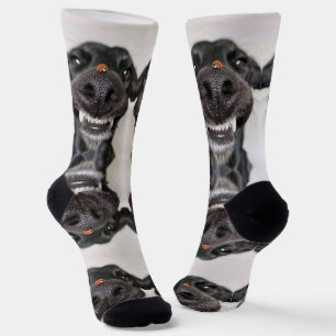 Chaussette Chaussettes de chien