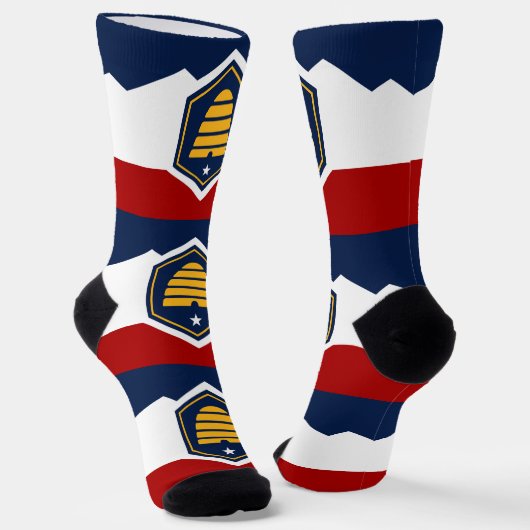 Chaussette Chaussettes de équipage hommes avec drapeau de l'É (Angulaire)